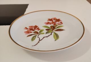 PLATO PEQUEÑO DE POSTRE DE PORCELANA WUNSIEDEL 