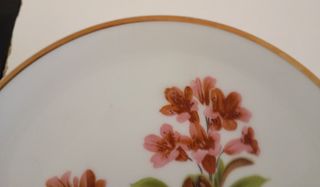 PLATO PEQUEÑO DE POSTRE DE PORCELANA WUNSIEDEL 