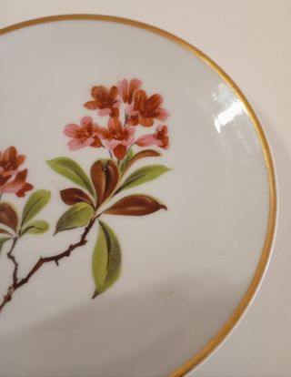 PLATO PEQUEÑO DE POSTRE DE PORCELANA WUNSIEDEL 