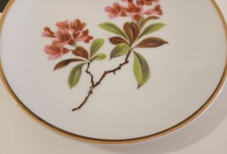 PLATO PEQUEÑO DE POSTRE DE PORCELANA WUNSIEDEL 