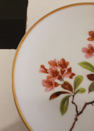 PLATO PEQUEÑO DE POSTRE DE PORCELANA WUNSIEDEL 