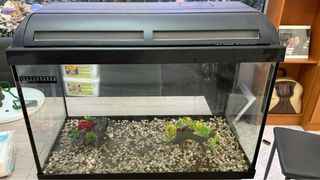Acuario 72L - pecera usada