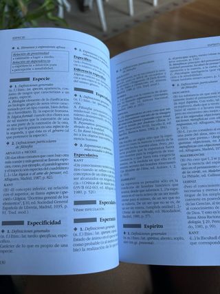 Léxico de filosofía (Diccionarios Para La Ensen...