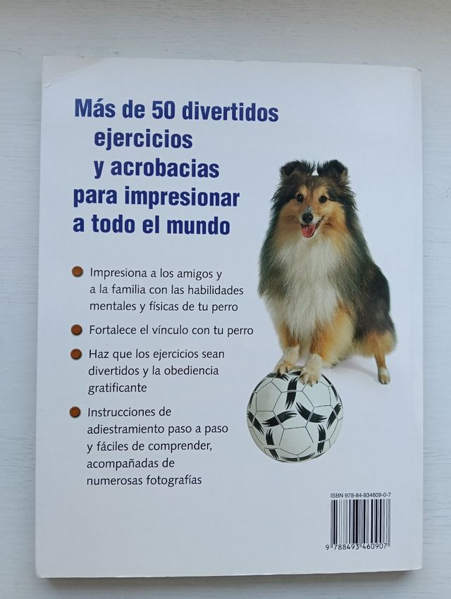 Haz de tu perro una estrella con el clicker: Di...