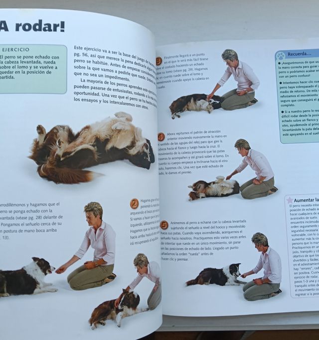 Haz de tu perro una estrella con el clicker: Di...