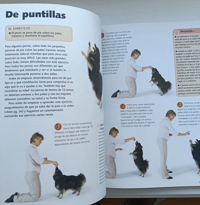 Haz de tu perro una estrella con el clicker: Di...