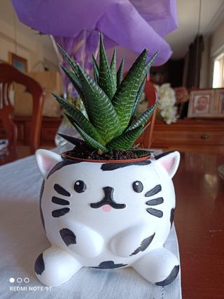 Maceta gato 3D - Decoración hogar