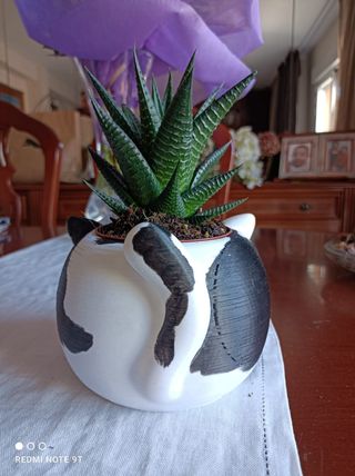 Maceta gato 3D - Decoración hogar