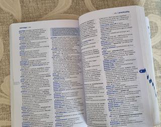 Diccionario Pocket Plus Inglés (Pocket Plus): D...