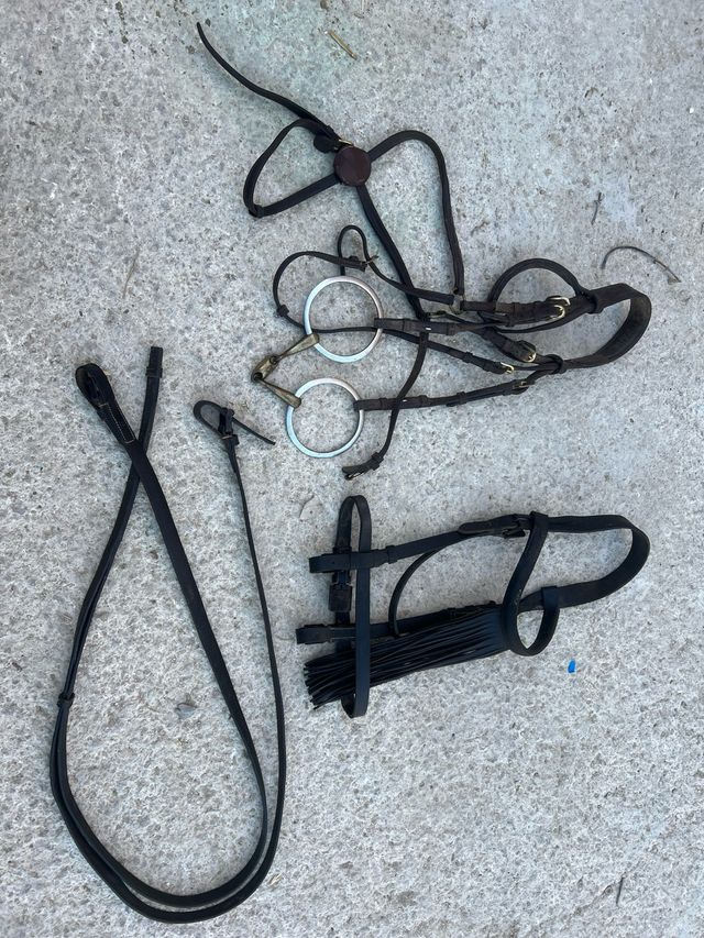 Cabezas y riendas caballo