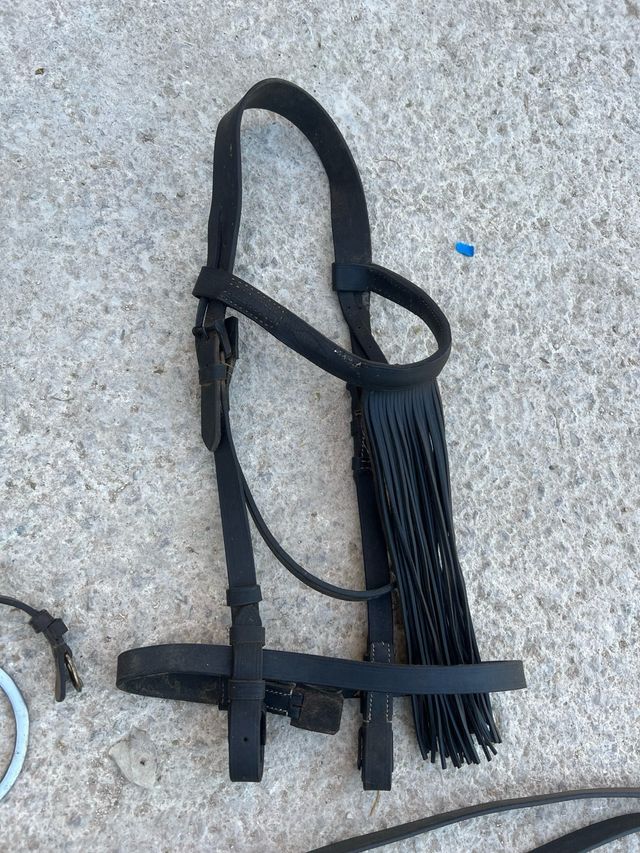 Cabezas y riendas caballo