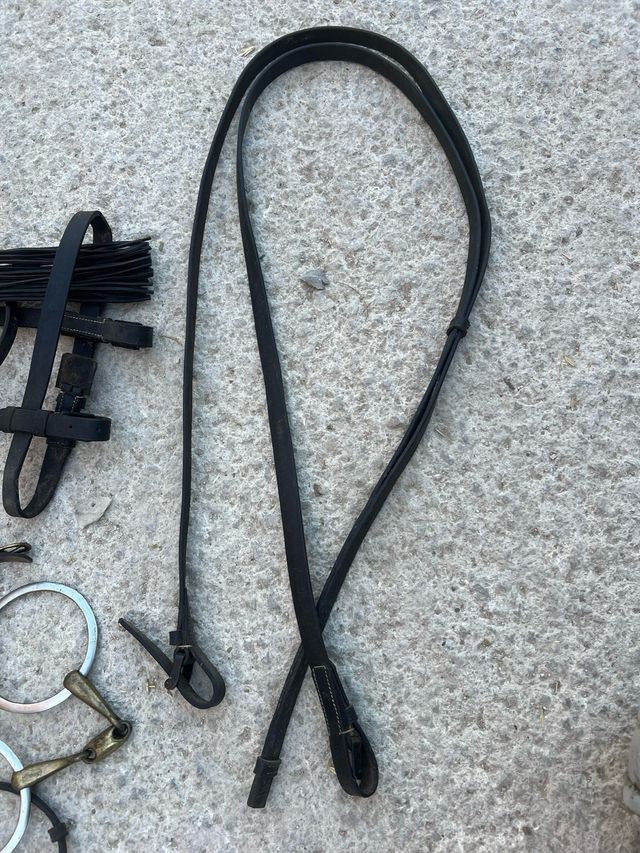 Cabezas y riendas caballo