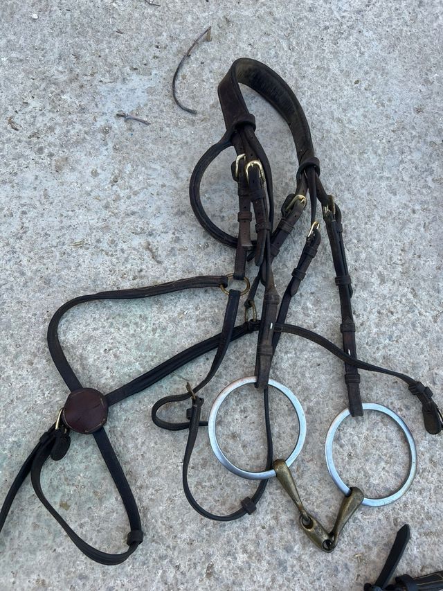 Cabezas y riendas caballo