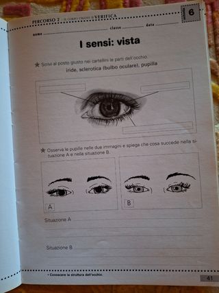 Tutto Esercizi matematica 5