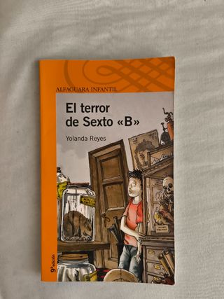 EL TERROR DE 6º B (Spanish Edition)