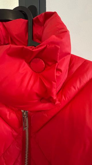 Plumifero rojo