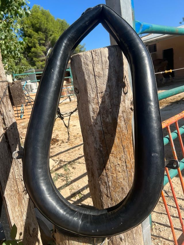 Colleron inglés 65cm - Equitación