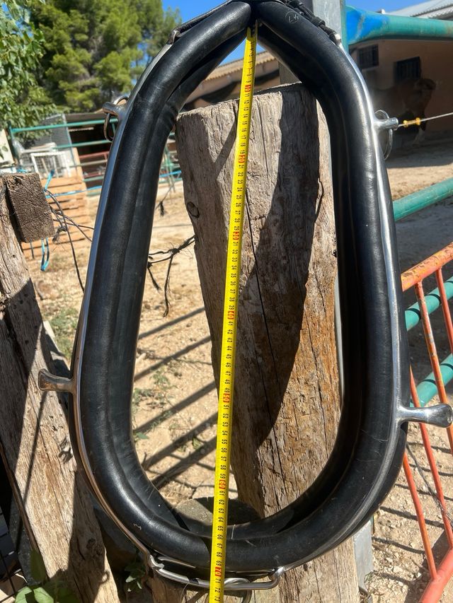 Colleron inglés 65cm - Equitación