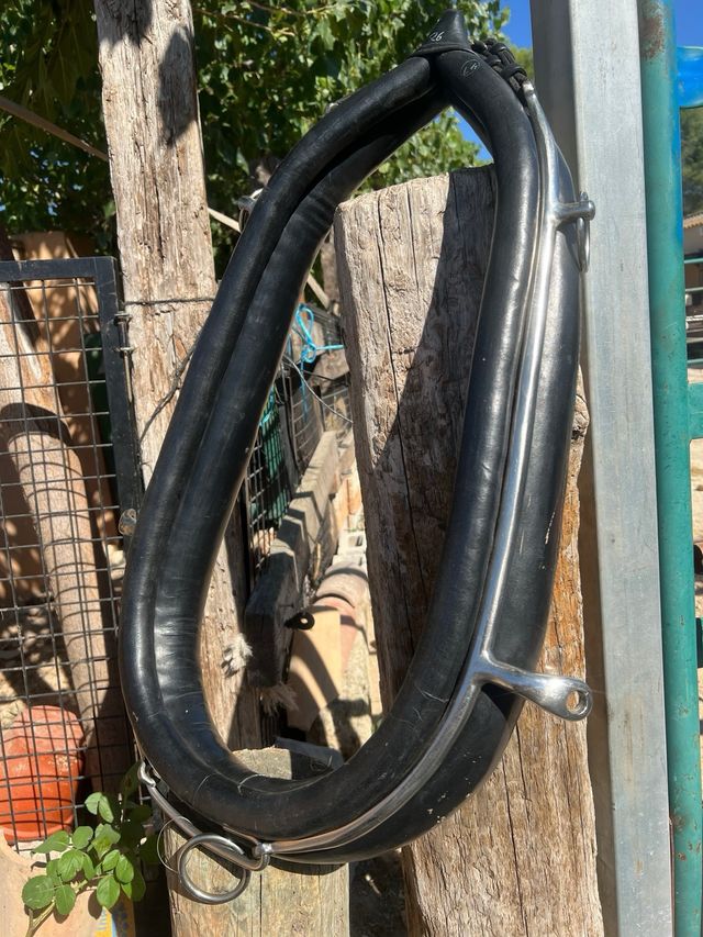 Colleron inglés 65cm - Equitación