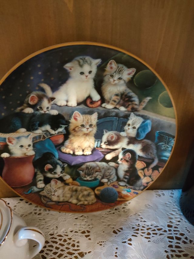 Collezione 12Piatti gatti Bradford