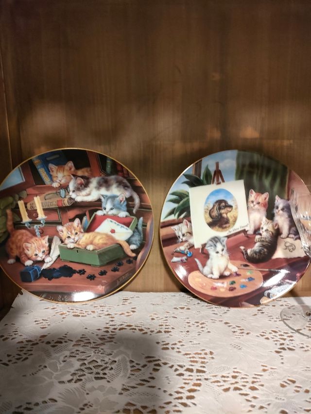 Collezione 12Piatti gatti Bradford