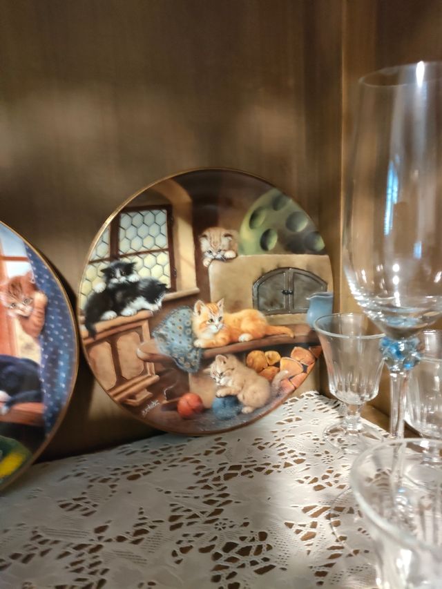 Collezione 12Piatti gatti Bradford