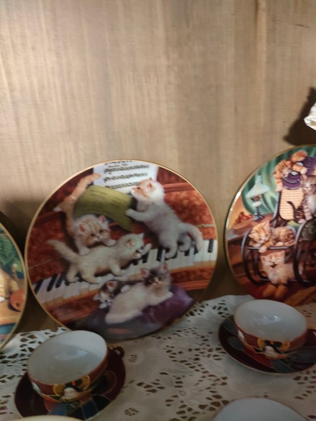 Collezione 12Piatti gatti Bradford