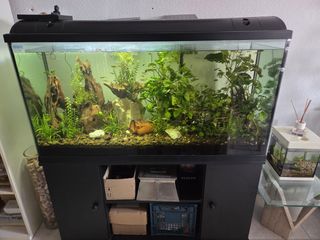 Precioso acuario de 300 litros, completo.