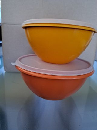 N. 2 (due) Ciotole Tupperware vintage colorate