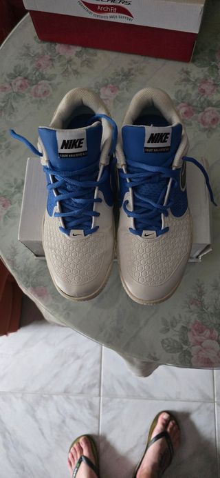 Zapatillas Nike Court Ballistec 4.1