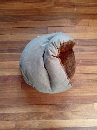 Cama gato
