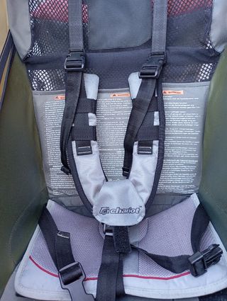 Remolque bici Thule Cougar 1