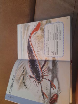 DINOSAURIOS FICHAS COMPLETAS