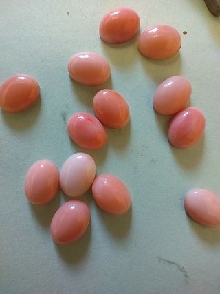 14 Cabochon Corallo Rosa 6x8 mm