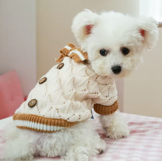 Maglione cane lavorato a maglia