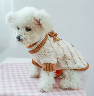 Maglione cane lavorato a maglia