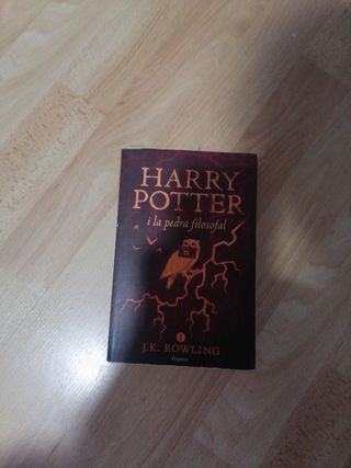 Harry Potter i la pedra filosofal (rústica)