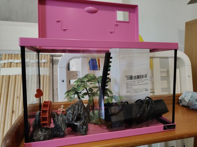 Acuario con filtro y decoración