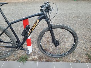 Bicicleta Vitoria carbono