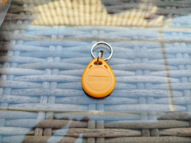 Lote de 100 Llaveros RFID 125khz