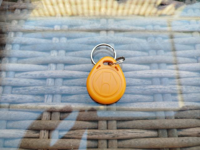 Lote de 100 Llaveros RFID 125khz