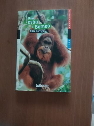 Un estiu a Borneo (Antaviana Blava) (Catalan Ed...