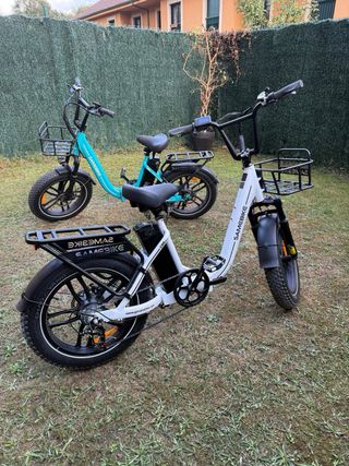 Bicicleta eléctrica SamEBike