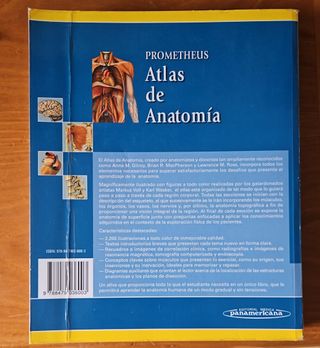 Pack de libros de fisioterapia/medicina