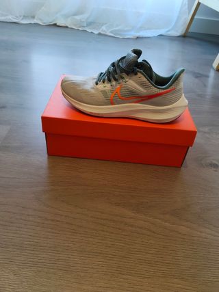 Zapatillas Nike Pegasus 39 Gris-Verde