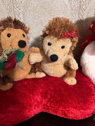 Set peluche San Valentino: orsetto e ricci