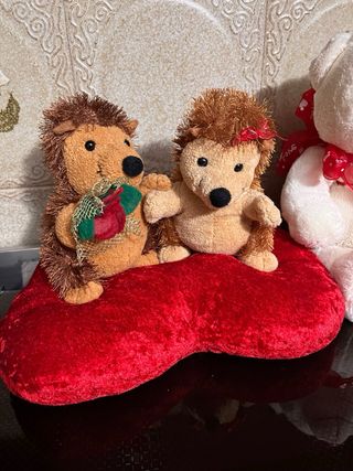 Set peluche San Valentino: orsetto e ricci