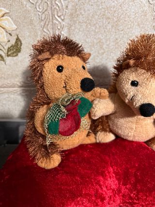 Set peluche San Valentino: orsetto e ricci