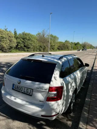 Skoda Octavia ECO URGE MUCHO