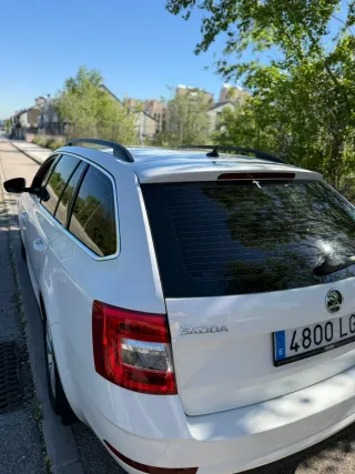 Skoda Octavia ECO URGE MUCHO